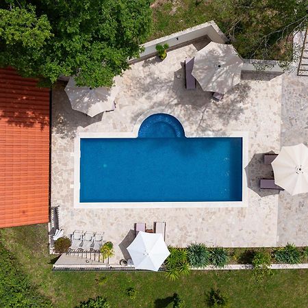 Sunset & Sunrise Villas In Stanisici-Two Villas With Common Pool 布德瓦 外观 照片